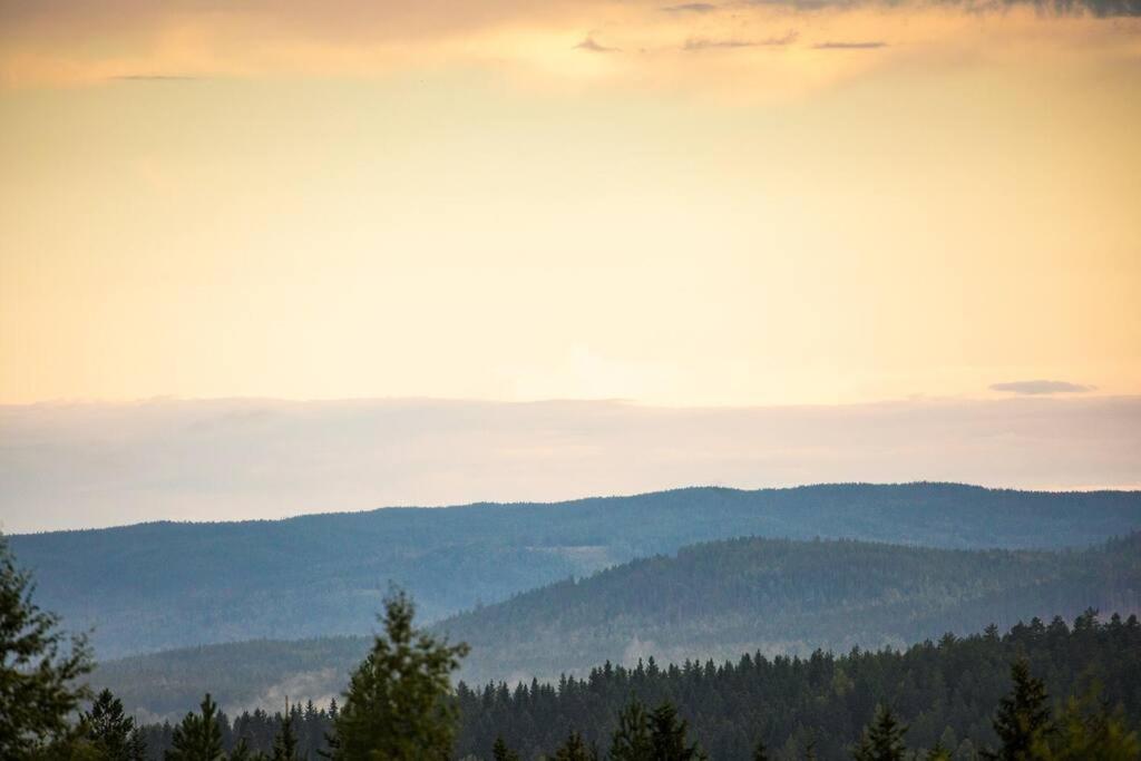 Alpstuga Langroesta; Ruime Blokhut Grenzend Aan Bos Hagfors